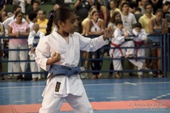 V Copa Sensei José André Ferreira