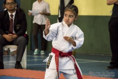 V Copa Sensei José André Ferreira