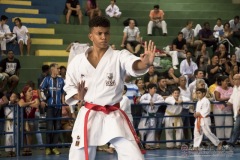 V Copa Sensei José André Ferreira