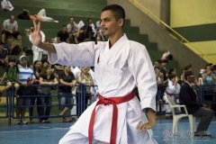 V Copa Sensei José André Ferreira