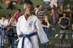 V Copa Sensei José André Ferreira