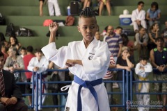 V Copa Sensei José André Ferreira