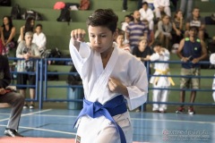 V Copa Sensei José André Ferreira