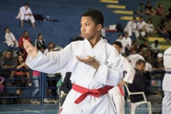 V Copa Sensei José André Ferreira