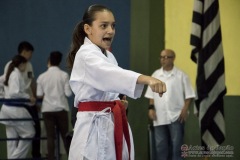 V Copa Sensei José André Ferreira