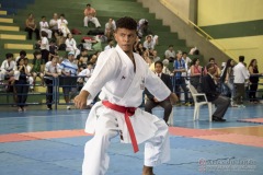 V Copa Sensei José André Ferreira