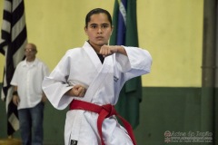 V Copa Sensei José André Ferreira