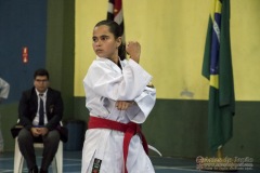 V Copa Sensei José André Ferreira