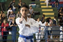 V Copa Sensei José André Ferreira