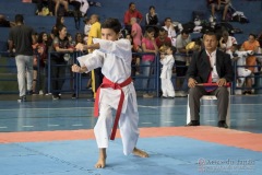 V Copa Sensei José André Ferreira