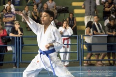 V Copa Sensei José André Ferreira