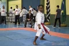 V Copa Sensei José André Ferreira