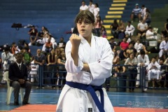 V Copa Sensei José André Ferreira