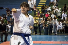 V Copa Sensei José André Ferreira