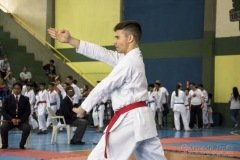 V Copa Sensei José André Ferreira