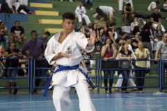 V Copa Sensei José André Ferreira