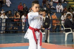 V Copa Sensei José André Ferreira