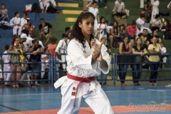 V Copa Sensei José André Ferreira