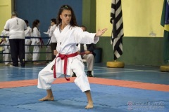 V Copa Sensei José André Ferreira