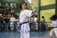 V Copa Sensei José André Ferreira