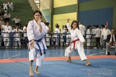 V Copa Sensei José André Ferreira