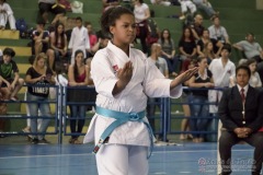 V Copa Sensei José André Ferreira