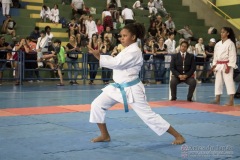 V Copa Sensei José André Ferreira