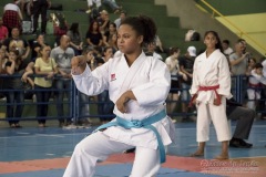 V Copa Sensei José André Ferreira