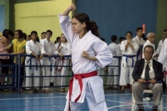 V Copa Sensei José André Ferreira