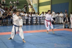 V Copa Sensei José André Ferreira