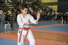 V Copa Sensei José André Ferreira