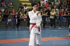 V Copa Sensei José André Ferreira