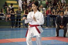 V Copa Sensei José André Ferreira