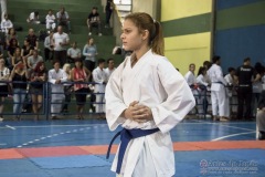 V Copa Sensei José André Ferreira