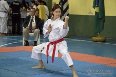 V Copa Sensei José André Ferreira