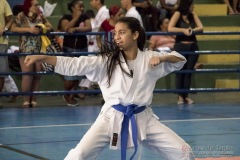 V Copa Sensei José André Ferreira