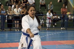 V Copa Sensei José André Ferreira