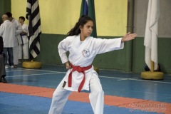 V Copa Sensei José André Ferreira