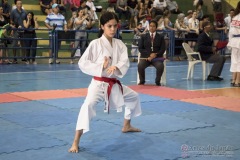 V Copa Sensei José André Ferreira