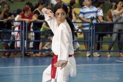 V Copa Sensei José André Ferreira