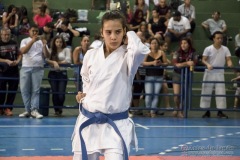 V Copa Sensei José André Ferreira