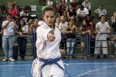 V Copa Sensei José André Ferreira