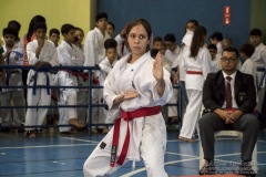 V Copa Sensei José André Ferreira