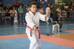 V Copa Sensei José André Ferreira