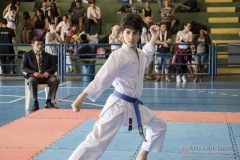 V Copa Sensei José André Ferreira