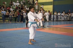 V Copa Sensei José André Ferreira