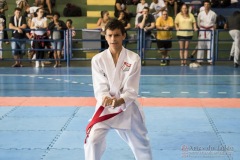 V Copa Sensei José André Ferreira