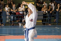 V Copa Sensei José André Ferreira