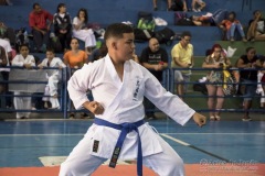 V Copa Sensei José André Ferreira