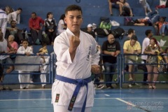 V Copa Sensei José André Ferreira